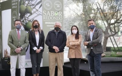 COITAND, en apoyo y promoción de la #aceituna de mesa sevillana! 
#SaborRedondo
#sevilladedondevienenlasaceitunas
@igpmanygord
?https://www.coitand.es/2020/10/29/coitand-en-apoyo-y-promocion-de-la-aceituna-de-mesa-sevillana/
