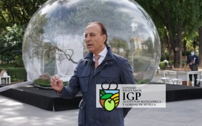 Testimonios #SaborRedondo:
D. Rafael Salado – Presidente de la Asociación de Vinos y Licores de la Provincia de Sevilla.
“La clave de una buena #aceituna de mesa sevillana está en el crujir  y esto solo pasa debajo de la #Giralda”
#sevilladedondevienenlasaceitunas @bodegassalado