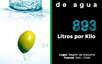 Jueves de #HuellaDeAgua / #WaterFootprint
¿Sabías que una ACEITUNA sevillana producida en la Región de Atacama tiene mayor huella de agua que una producida en la Región de Coquimbo?
¿No sabes qué es la huella de agua?
Te contamos aquí: https://buff.ly/3a7EoKD