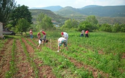Reforma de la PAC: una oportunidad para reenfocar nuestra política agraria en favor del modelo familiar. Por Joaquín Olona Blasco