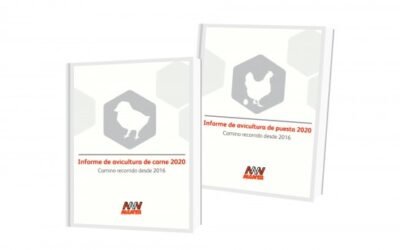 Nanta informa de la evolución del uso de antibióticos en la producción avícola
