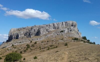 El MAPA estima una mejora del 4,3% de la Renta Agraria, con cerca de 29.100 M€ en 2020
