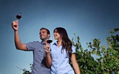 El vino no es una «droga legal». AEPEV