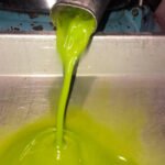 Certióleo realizará el control de la calidad diferenciada de la provincia de Jaén para el ingreso en la figura de la IGP