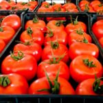 Un respiro y un ahorro: El acuerdo UE-Reino Unido evitará pagar 198 millones en aranceles a las frutas y verduras españolas