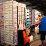 El sector agroalimentario incrementa sus exportaciones a pesar de la pandemia pero no se traslada a la renta de los agricultores