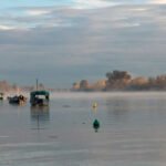 Proponen recuperar el estuario del Guadalquivir e implantar un transporte fluvial eléctrico de apoyo a la agricultura ecológica