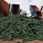 Nuevo rechazo a las cuentas del ministro: Su cálculo del indicador de renta agraria es «como hacer trampas en el solitario»