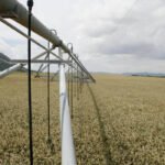 Inversiones en materia de agua, ahora o… será tarde