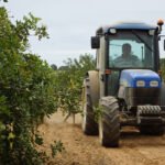 Abonados 4.089 millones de las ayudas directas de la PAC de la campaña 2020, una cifra levemente inferior a la del pasado año