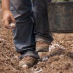 Europa le pone deberes al Plan Estratégico español y le da 17 consejos para aplicar la PAC, la mitad de carácter ambiental