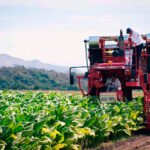 El futuro del sector se oscurece aún más: Illa trasladó a la Mesa del Tabaco que ampliará las restricciones para fumar