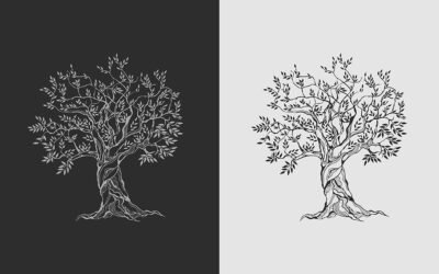 La Cadena de (NO) Valor del Aceite de Oliva