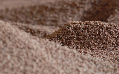 El avance del uso del hueso de aceituna y otros subproductos del olivo como biomasa