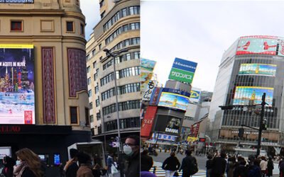 De Callao a Shibuya, pasando por Times Square: los aceites de oliva europeos exhiben todo su potencial