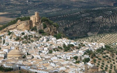 Recta final de la candidatura de Paisaje Cultural del Olivar Andaluz a Patrimonio Mundial