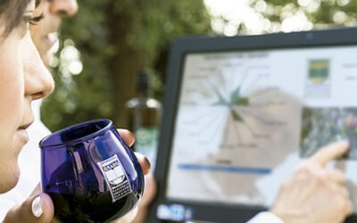 Catadores y Master Blenders