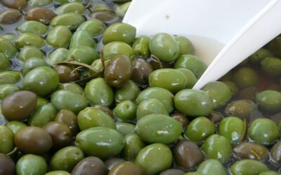 Barreras y oportunidades en la comercialización de aceituna de mesa