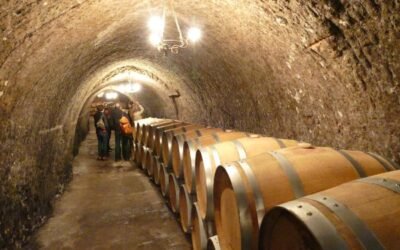 Rutas del Vino de España prepara su estrategia para 2021