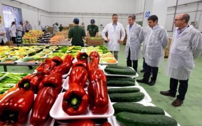 La exportación de frutas y hortalizas frescas cierra el año con 14.200 M€