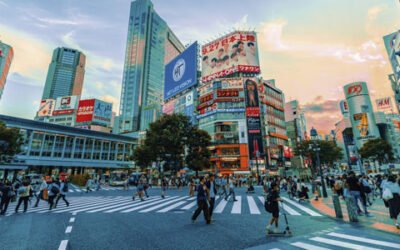 El aceite de oliva, cada vez más asentado en la dieta japonesa