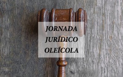 Cadena de valor, morosidad y calidad, a debate en la primera jornada jurídico-oleícola