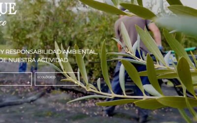 Tradición y modernidad se combinan en la renovada web de Luque Ecológico