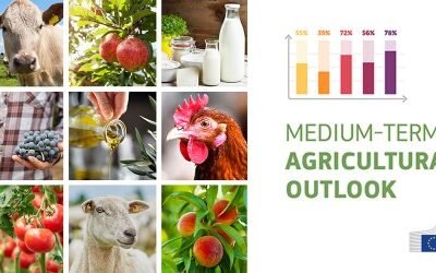 Perspectivas 2020-2030: resiliencia del sector agroalimentario de la UE a pesar de los impactos del Covid-19
