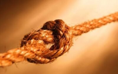 La PAC y el “nudo gordiano” de los derechos históricos. Por Eduardo Moyano Estrada.