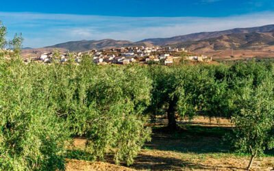 Las 17 recomendaciones de la CE para el plan estratégico de la PAC en España