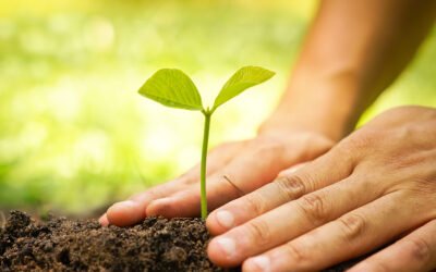 Implicar y comunicar, necesarios para la aplicación del Pacto Verde de la Comisión Europea