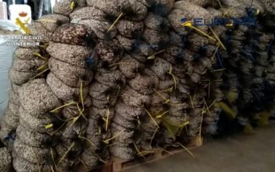 Destapada trama empresarial que vendía falsos pistachos ecológicos en España y Francia