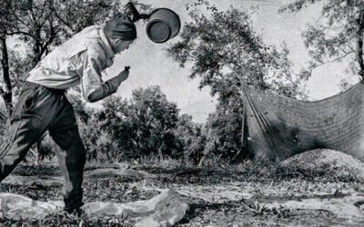 Ya se conocen las fotografías premiadas en el II Concurso Fotográfico Nacional «Feria del Olivo de Montoro 2020»