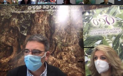 La Red Euromediterránea de Ciudades del Olivo, RECOMED, reclama la letra A en el etiquetado nutricional de los aceites de oliva vírgenes