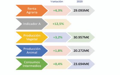 La renta agraria del sector del aceite de oliva desciente un 38,8 %