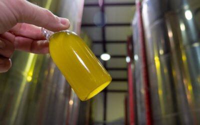 Buen ritmo de producción y salidas de aceite de oliva en noviembre