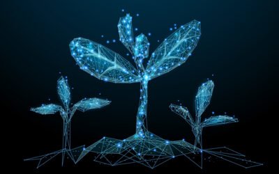 La transformación y modernización de las PYMES españolas: competitividad y sostenibilidad