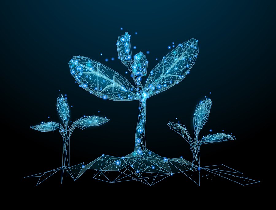 La transformación y modernización de las PYMES españolas: competitividad y sostenibilidad