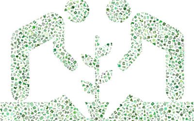 Valencia pone en marcha el II Plan Valenciano de Producción Ecológica