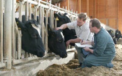 Presvet y la nueva normativa sobre prescripción veterinaria