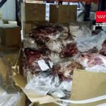 La Guardia Civil detiene a 14 personas e incauta 122.000 kilos de carne caducada o en mal estado dispuesta para su venta
