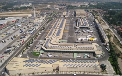 Planas visita Mercaolid, recientemente integrado a la Red de Mercas