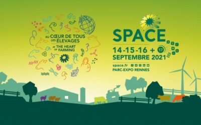 Space regresa con una nueva fórmula para 2021