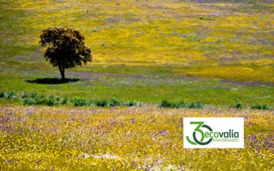 Ecovalia celebra en 2021 su 30 aniversario