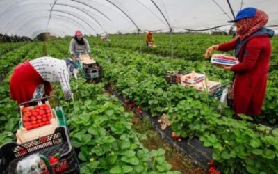 El descenso del paro registrado en Agricultura fue el menor desde 2009