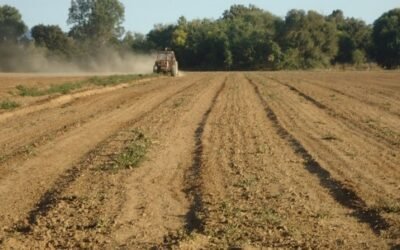 Rechazo frontal de COAG a la convergencia interna de los derechos de pago básico del RD sobre la PAC