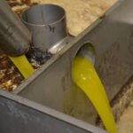 El precio del aceite de oliva no termina de remontar y los agricultores siguen sin cubrir costes de producción