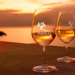 El Consejo Regulador de la Denominación de Origen Valencia ha calificado de Excelente la añada 2020