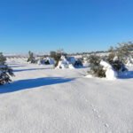 Primera propuesta de petición de créditos blandos y de ayudas directas por los daños de Filomena en el campo