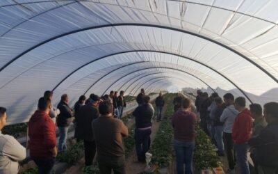 Publicado el Plan de Formación 2021 para técnicos del medio rural